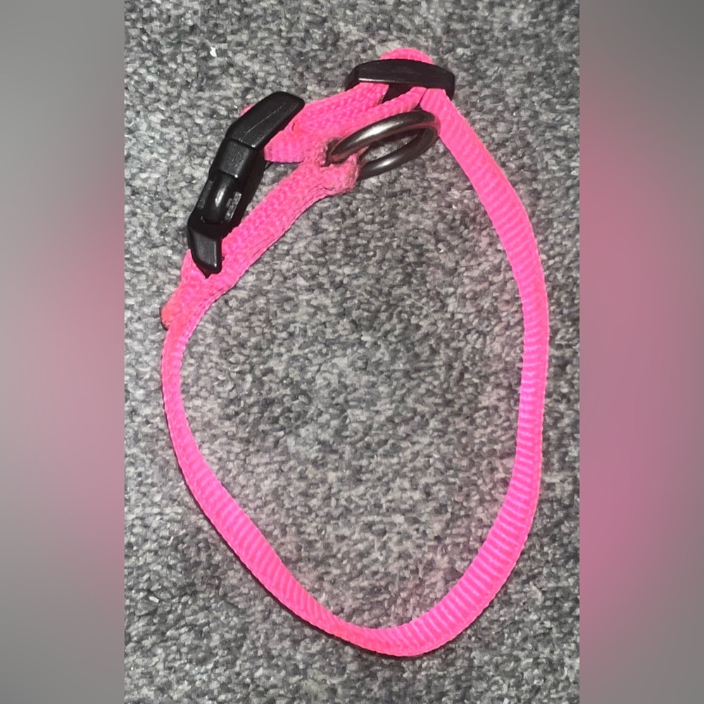 🎉HOST PICK 🎉 Hot Pink Dog Collar - Picture 7 of 7